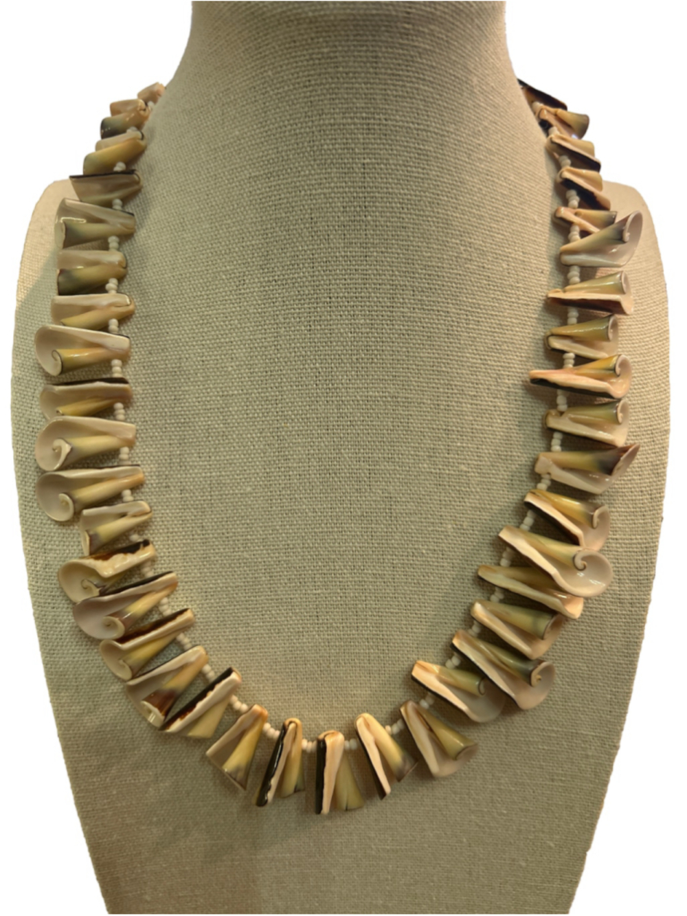 Women's vintage spiral Shell Statement Necklace One Size Beige Brown 16”